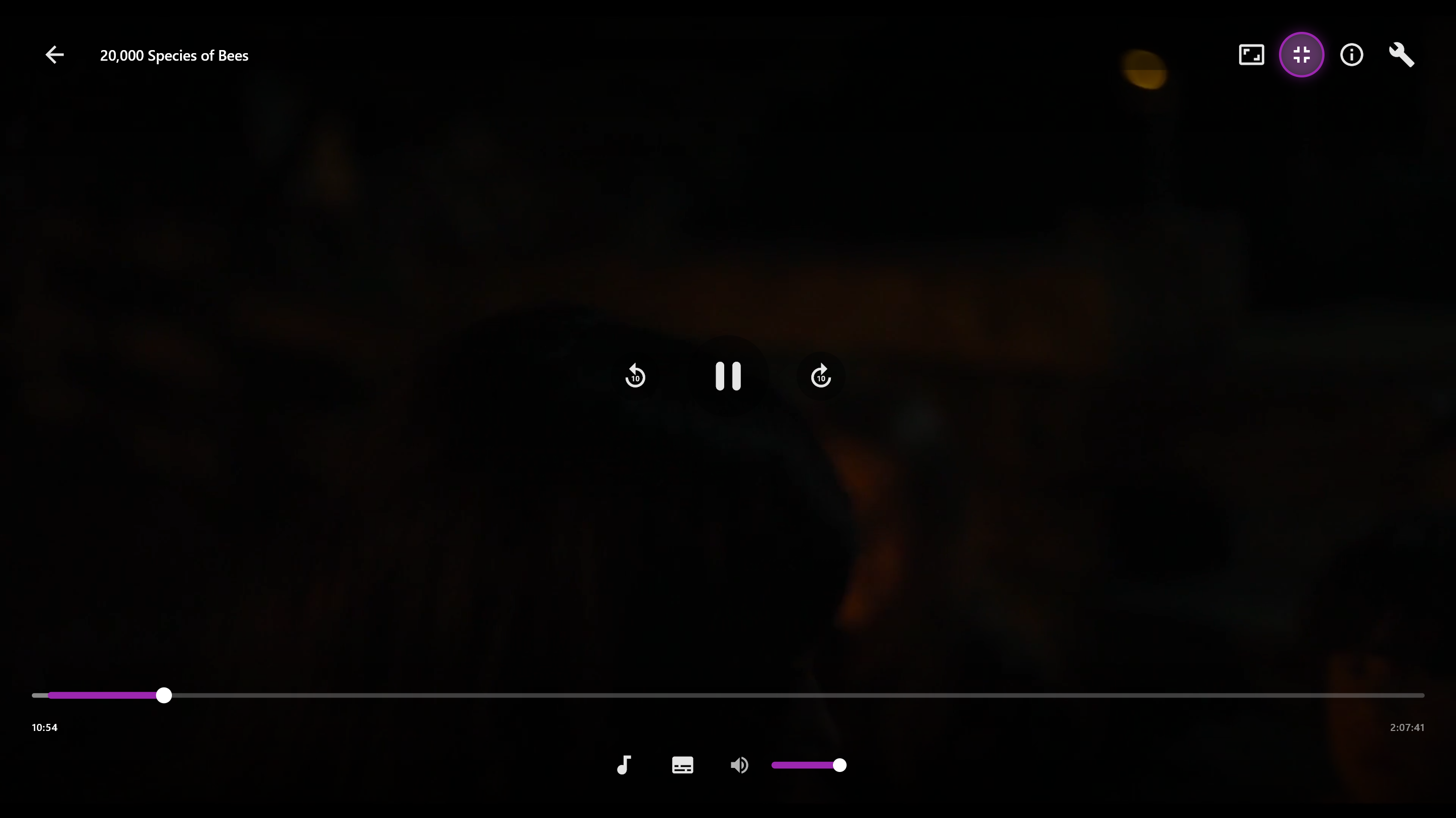 Video Player